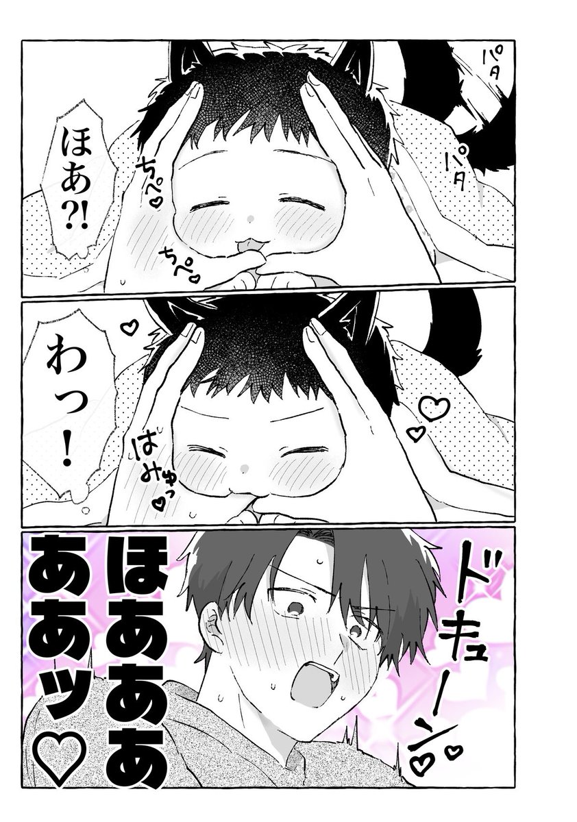殻似コモル@J庭ふ41a tweet media