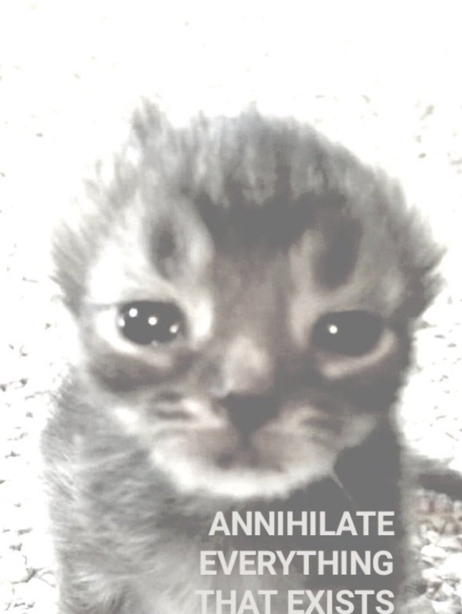 Thorongil ⚔️⛓ tweet media