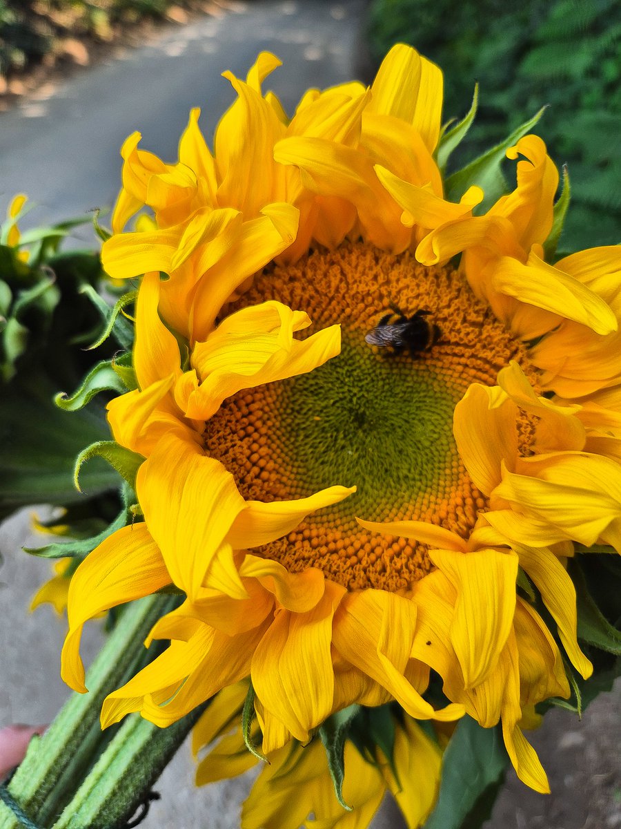 ʚEllexMayɞ 🍓🌱🐝 tweet media