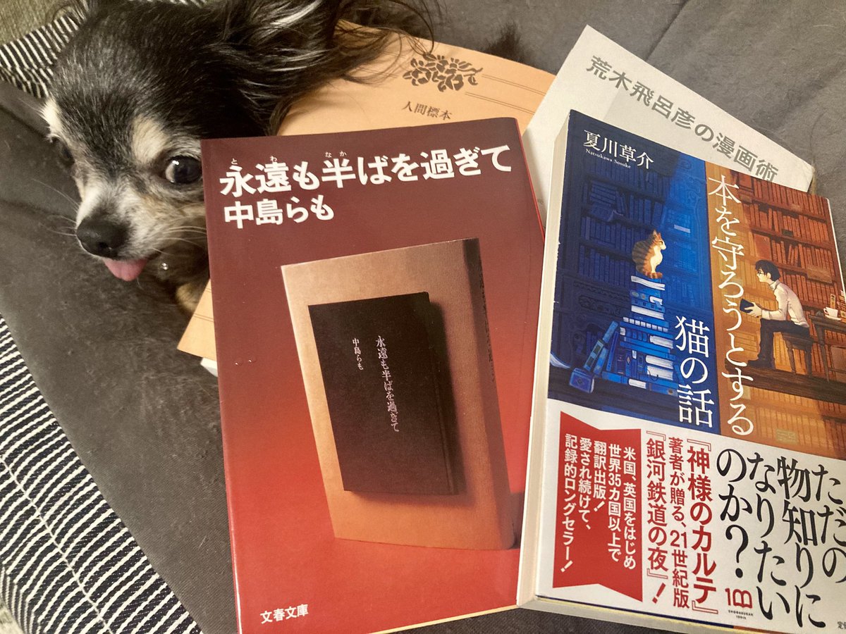 あおき tweet media