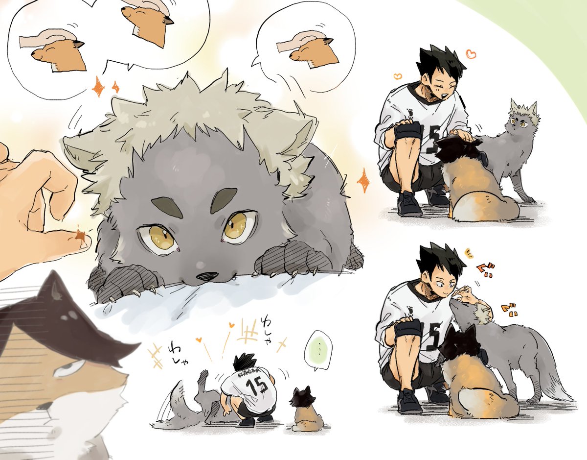 横取りナデナデ