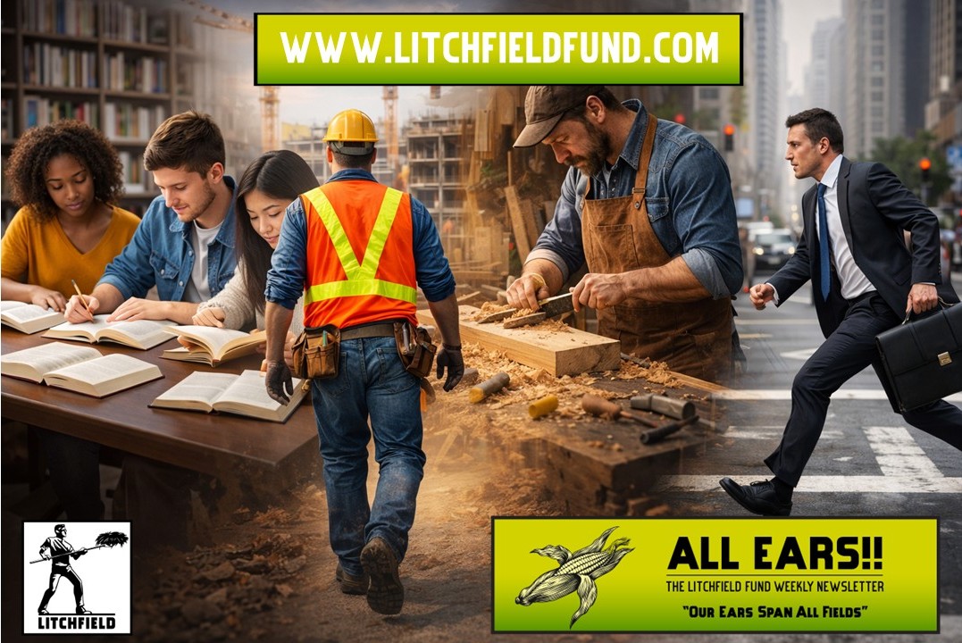 The Litchfield Fund tweet media