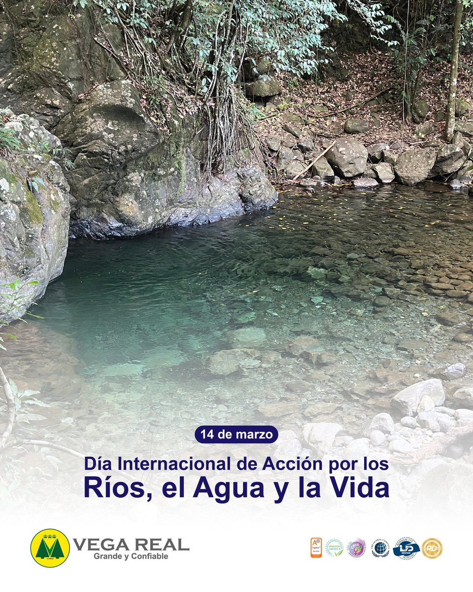 El río no es solo agua, es vida, historia y futuro.💚

Proteger los ríos, el agua y el ecosistema, es cuidar los recursos naturales del planeta, promoviendo el equilibrio ambiental y el desarrollo sostenible de la vida silvestre que habita en ella.🏞️

#VegaReal #MedioAmbiente