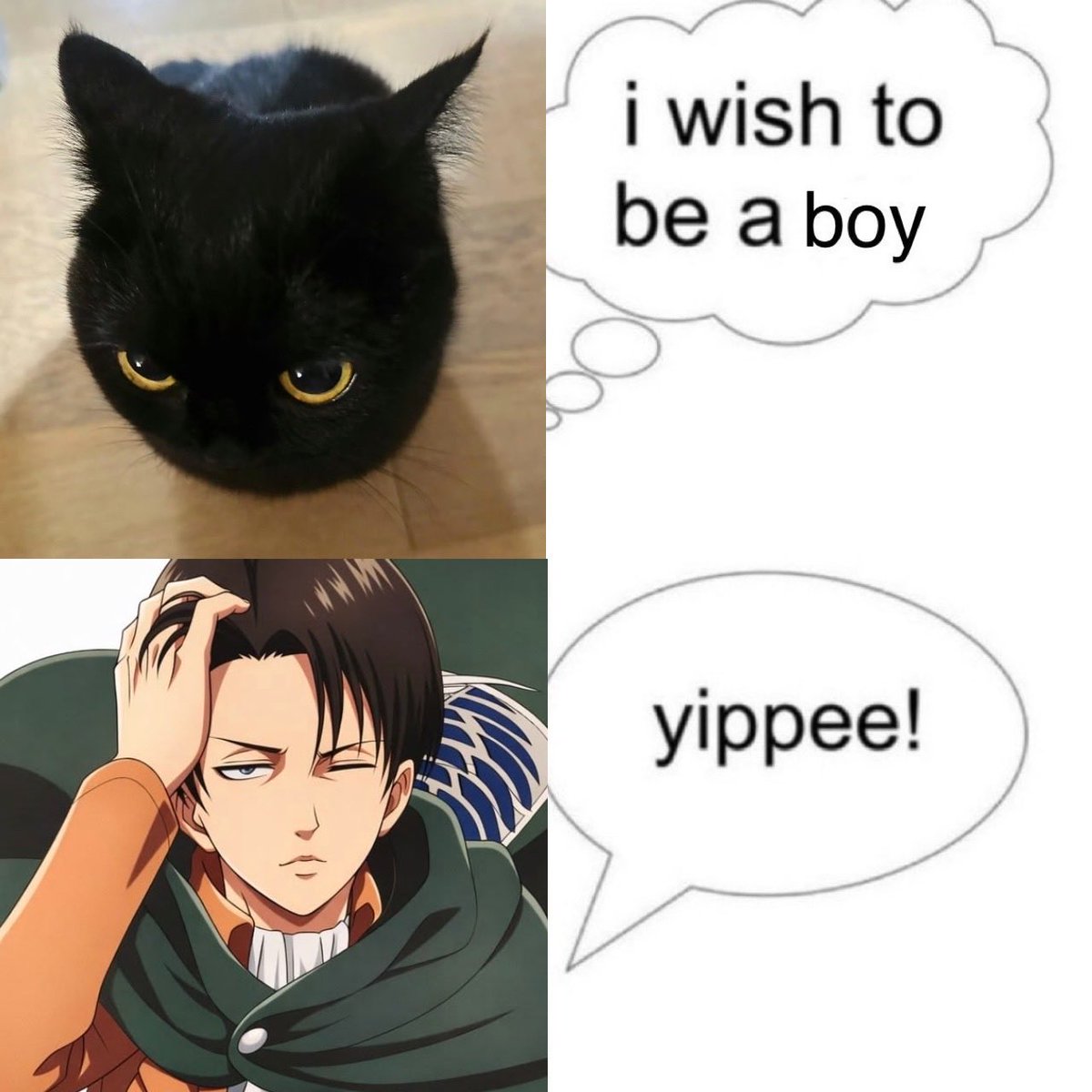 shak ☁️ tweet media