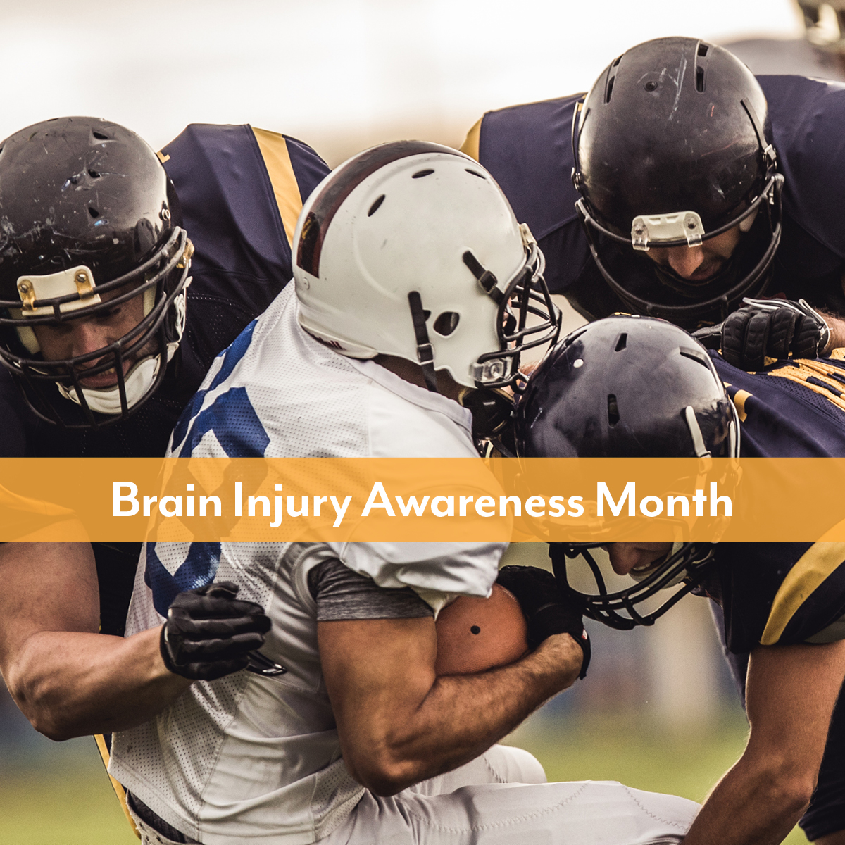 ECMC Buffalo tweet media