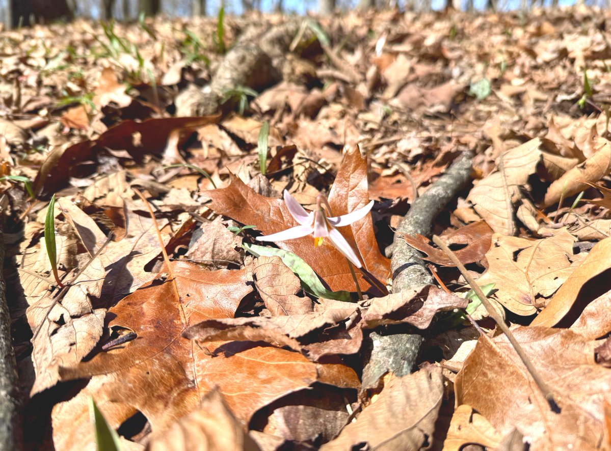 Ohio State Parks & Watercraft tweet media