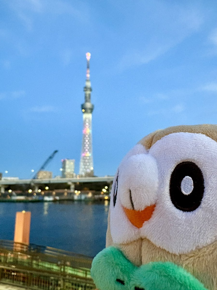 スカイツリー、光ってるなぁ

モクを

#ポケモンfit
#ポケモンfitのある暮らし