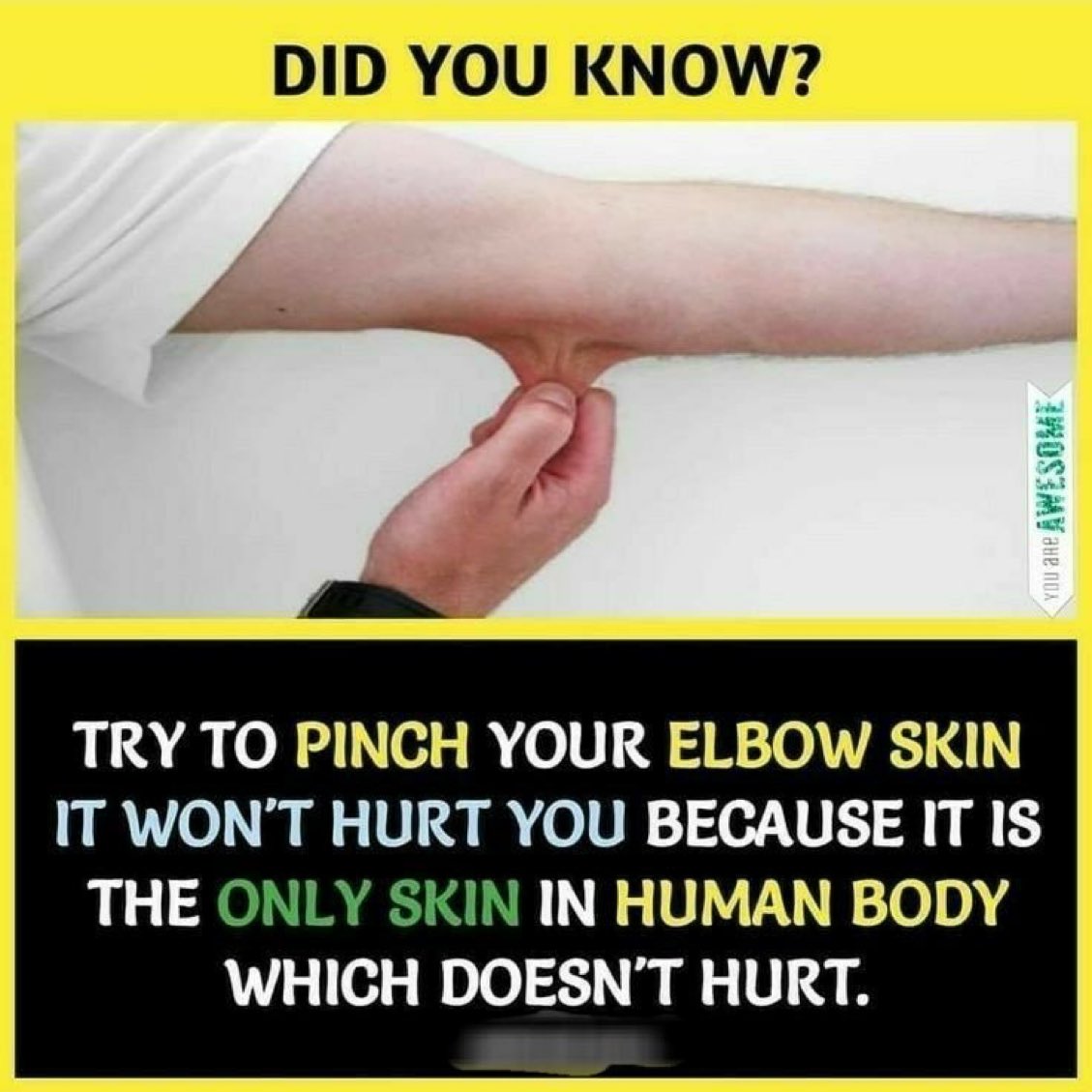 Had no Idea this is true.