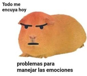 Ignacio 🏈 tweet media