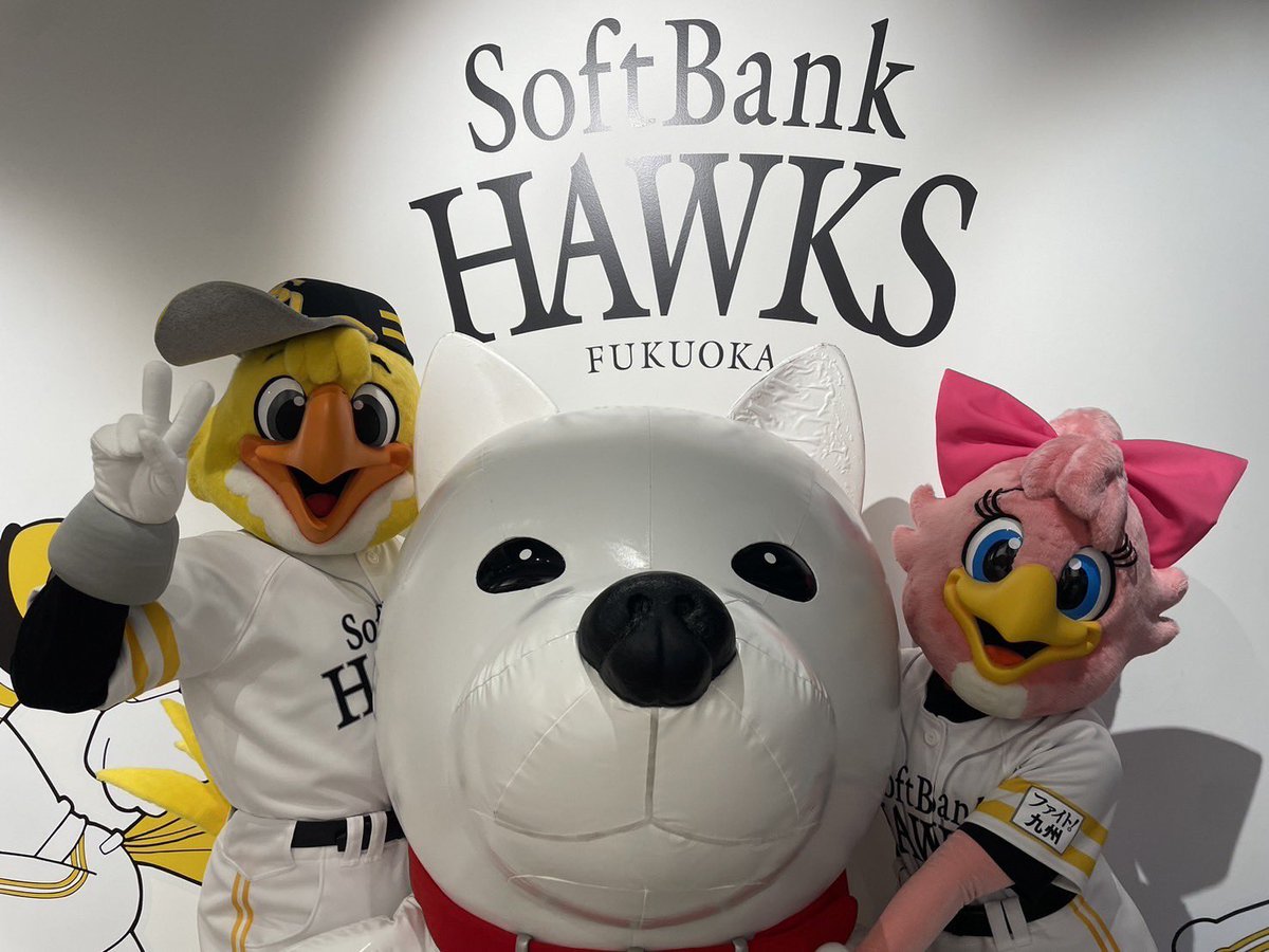 ハリーホーク(公式) tweet media