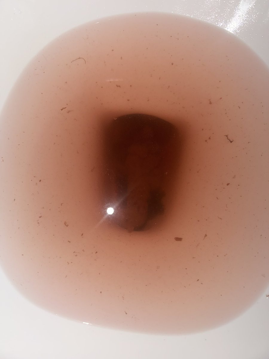 Mistress Tanya tweet media