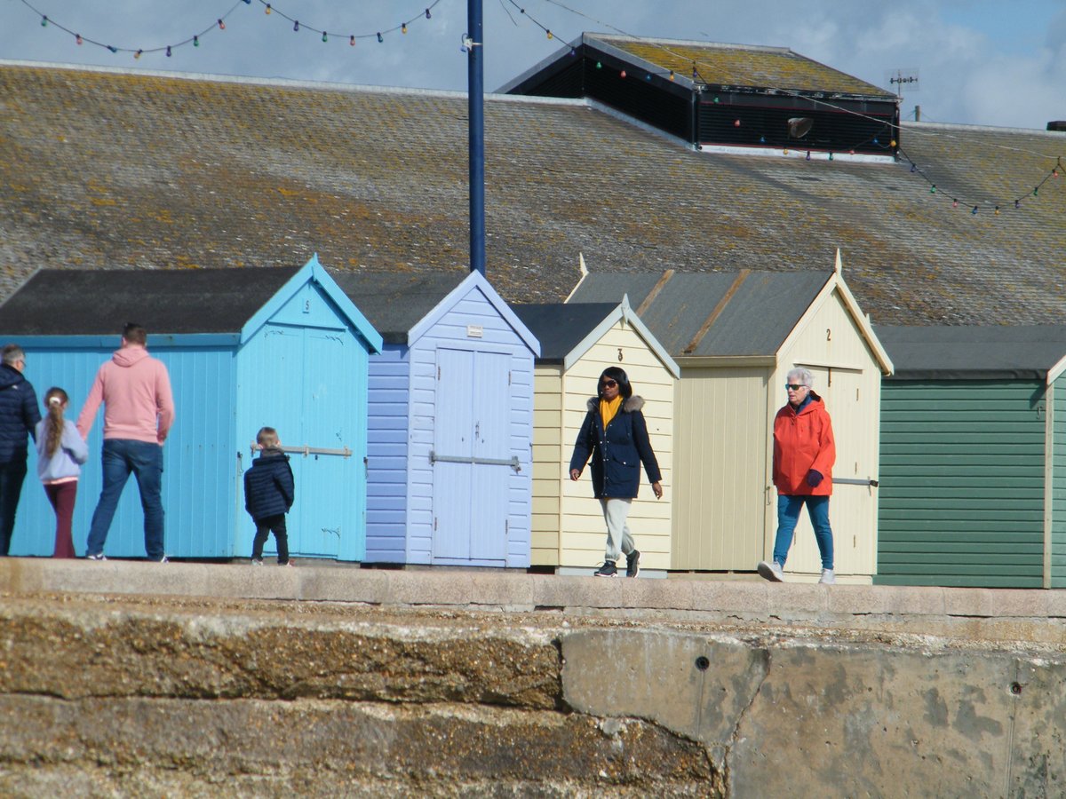 window cleaner and Artist tweet media