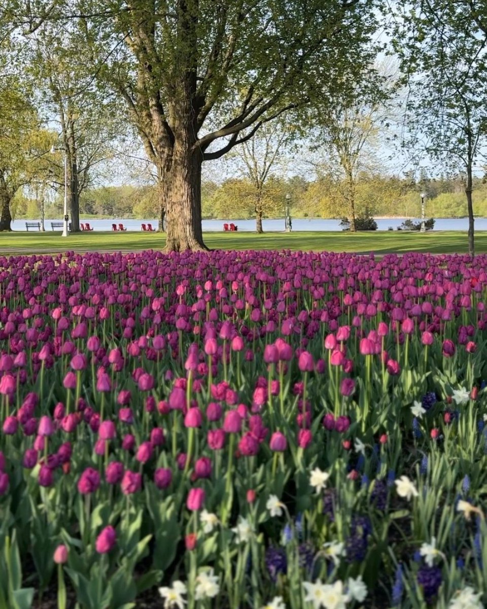 Commission de la capitale nationale tweet media