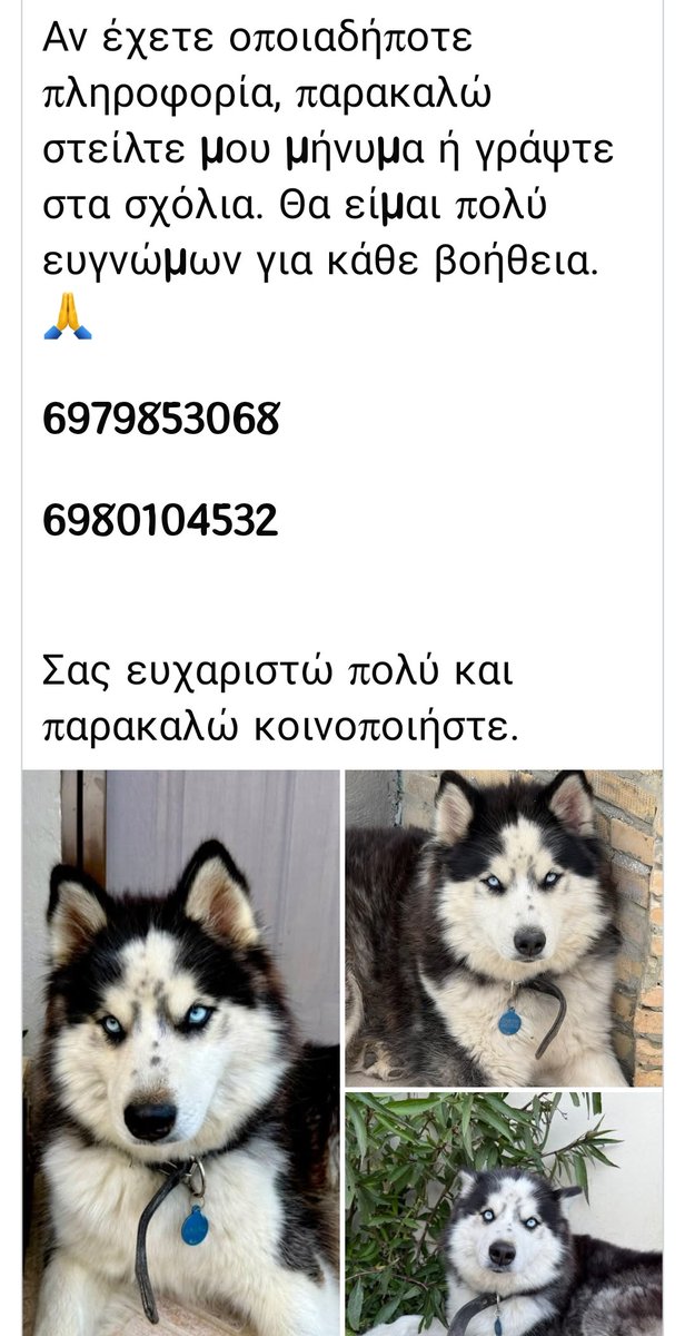 εφη απλα tweet media