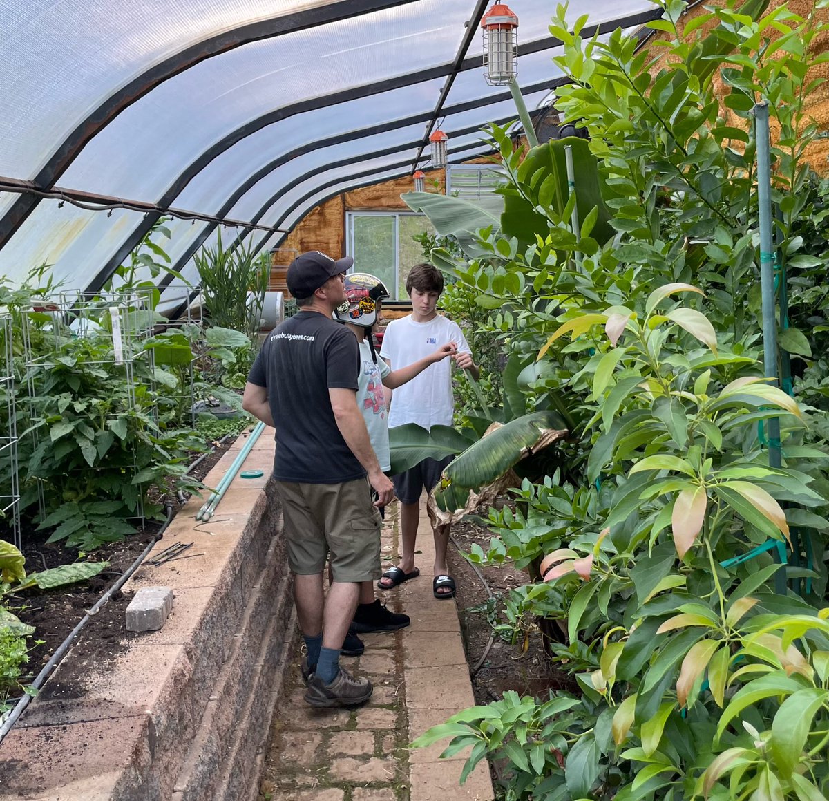 Adam Rossi tweet media