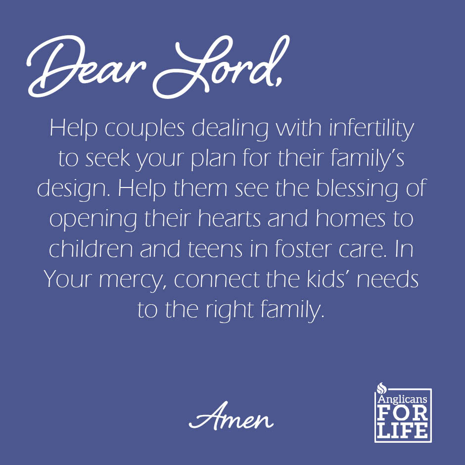 Anglicans For Life tweet media