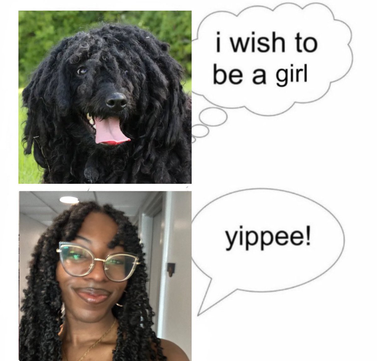 ☆ fae ☆ tweet media