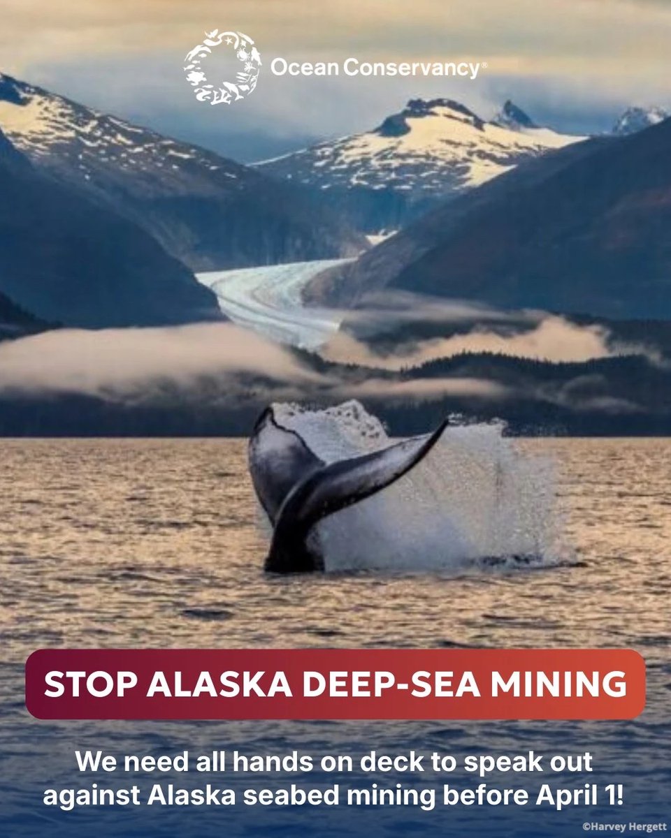 Ocean Conservancy tweet media