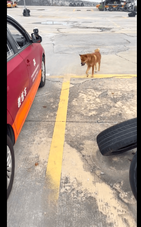 Marjorie Benoit tweet media