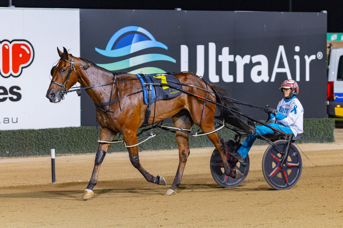 Club Menangle tweet media