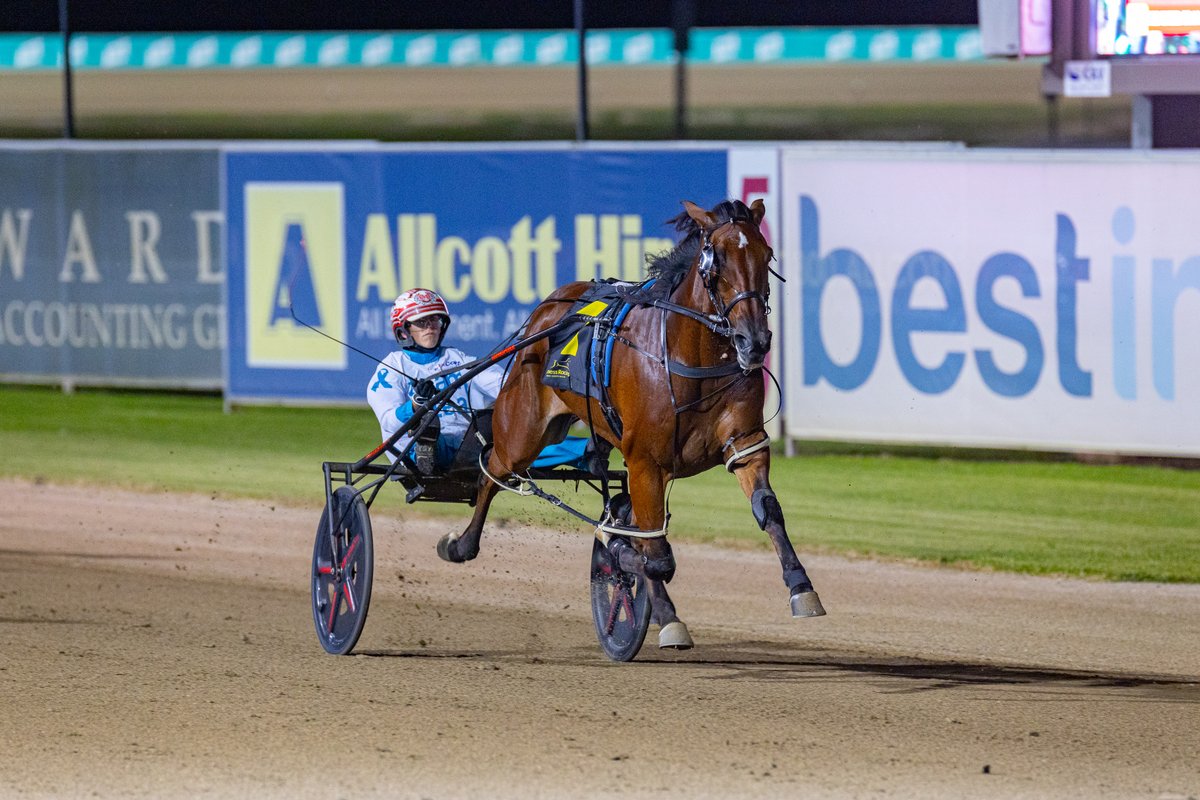 Club Menangle tweet media