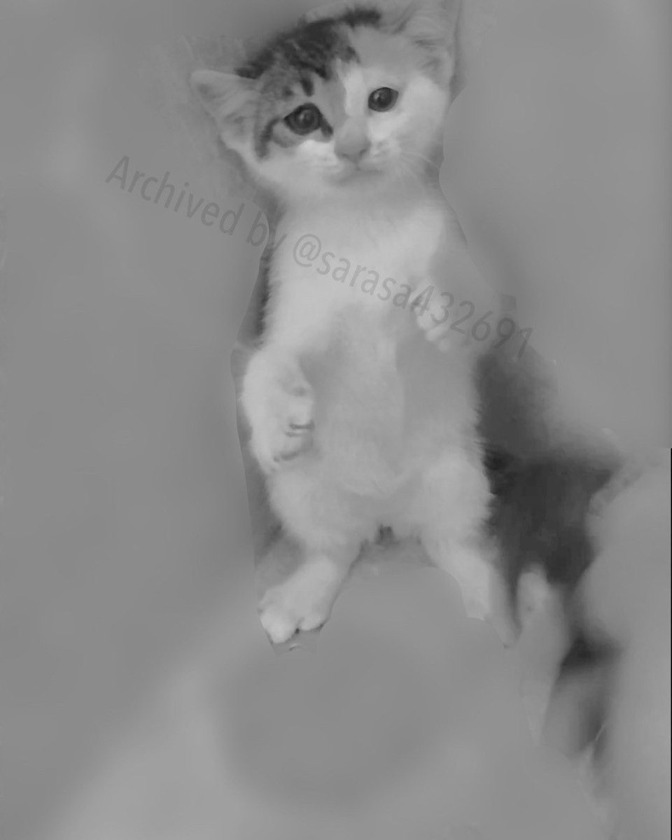 Emeraldas tweet media