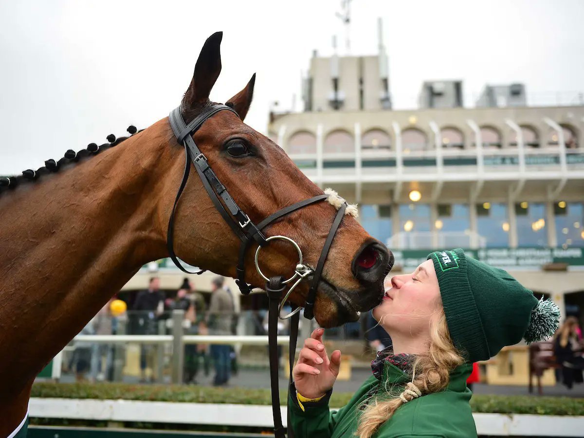 Jake Russell 🏇 tweet media