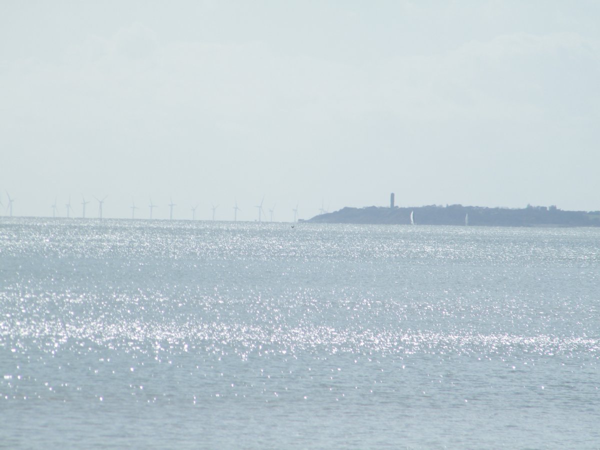 window cleaner and Artist tweet media