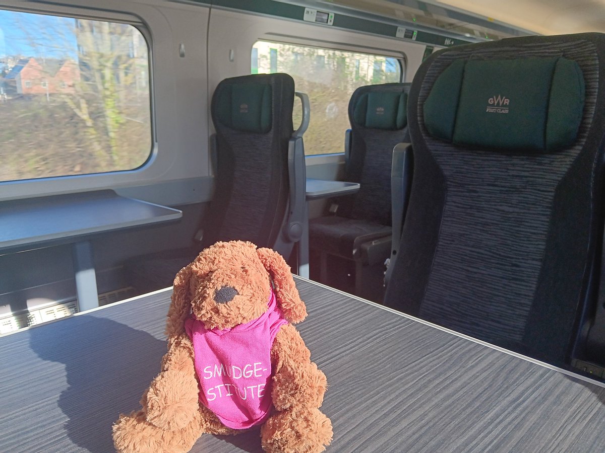 𝙿𝚛𝚘𝚏. 𝚂𝚊𝚛𝚊𝚑 𝙼𝚘𝚛𝚛𝚒𝚜 🔍🐧 tweet media