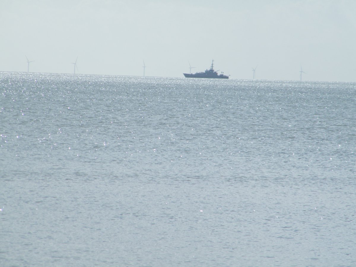 window cleaner and Artist tweet media