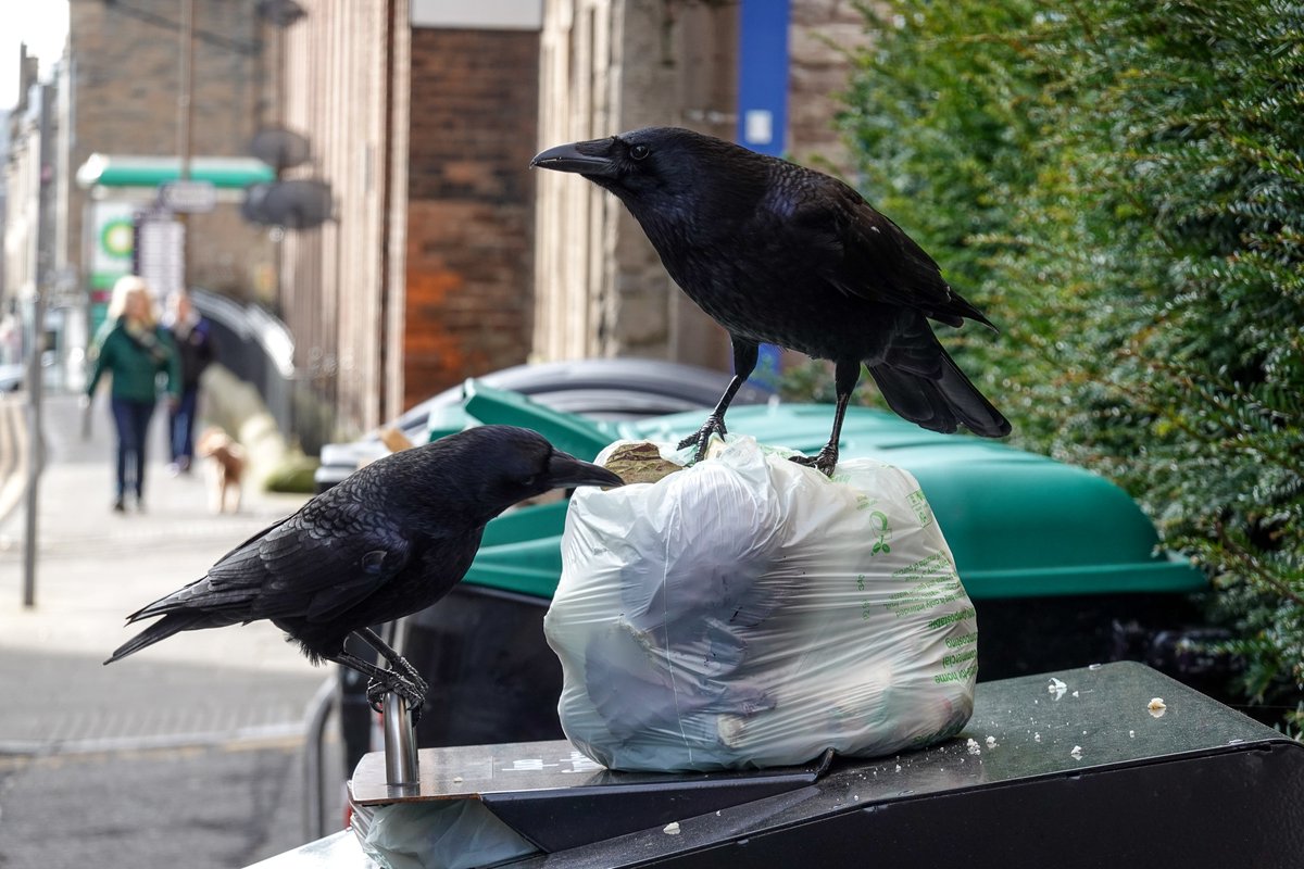 Martin Paterson 🏴󠁧󠁢󠁳󠁣󠁴󠁿 tweet media