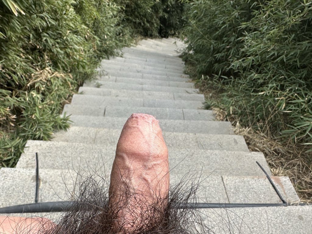 austi58364's tweet photo. @guyexg 私信直接羞辱🥵🥵狗狗看到姐姐就会回 https://t.co/4WNze6HnFi