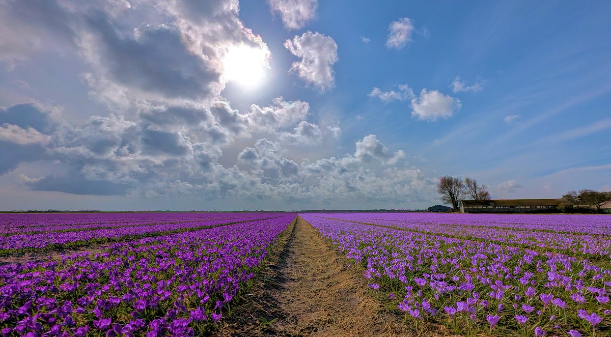 Ed v. Pelt tweet media