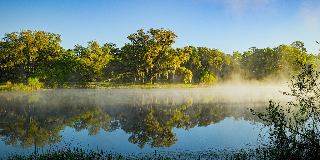 Leon County, FL tweet media