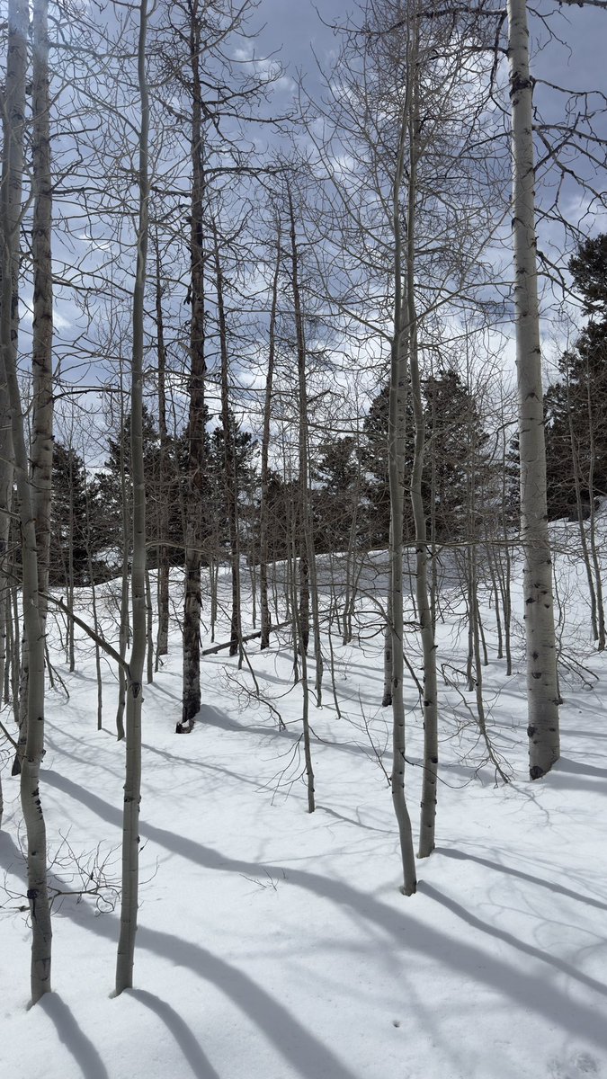 Beaver Mountain tweet media