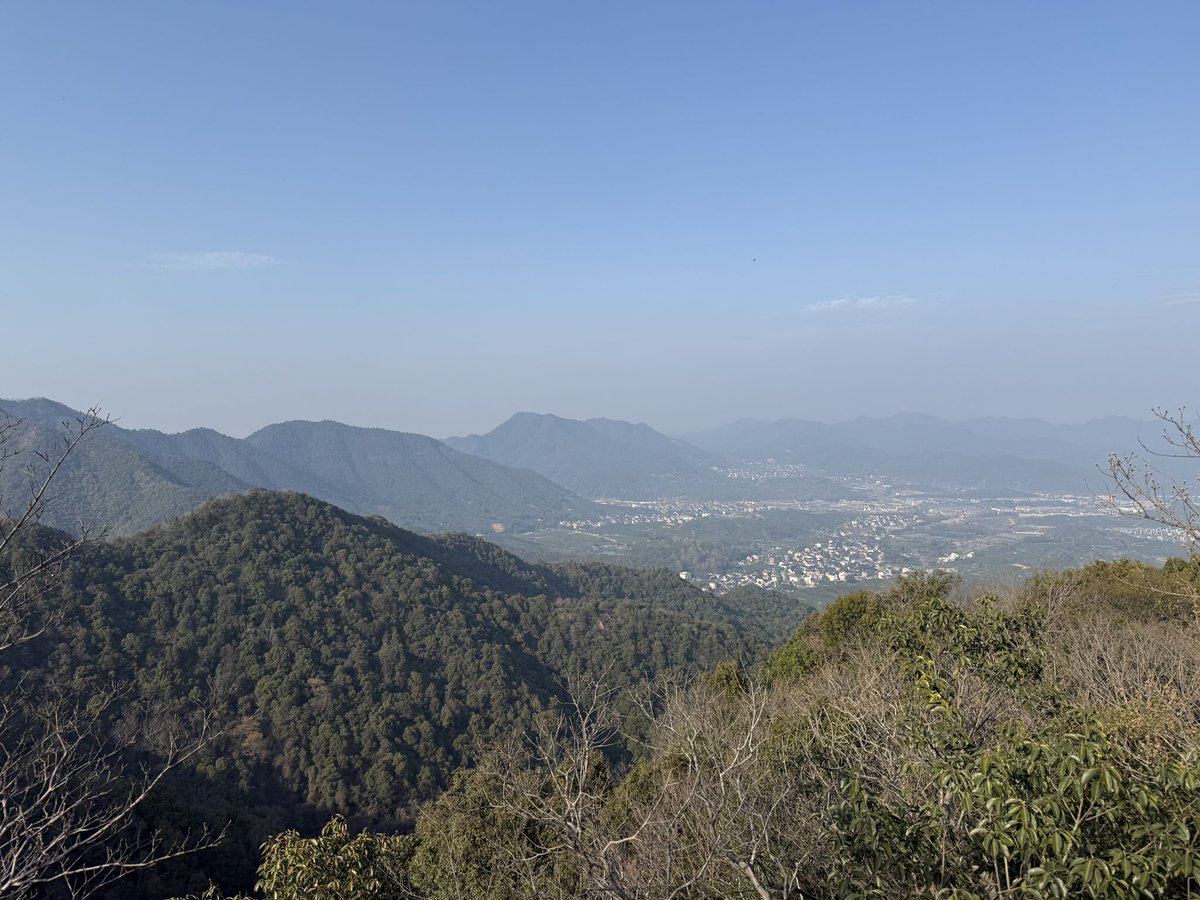 你们的小f tweet media