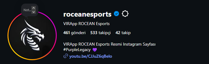 VIRApp ROCEAN Esports tweet media