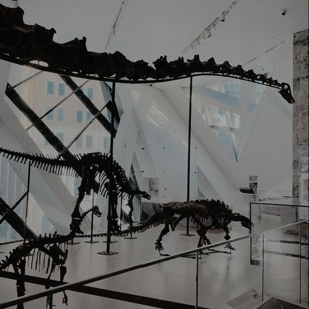 ⠀ ⠀

⠀                          ★̲  𝓵𝐨𝐨𝐤𝐢𝐧𝐠  𝓯𝐨𝐫  :
                             𝐛en  𝐠eller - 𝐰illick.

⠀              *  𝐜anon 𝐜haracter - 𝐟riendsrp.
                 *  𝐟aceclaim a elección de user.
                 *  𝐦ás    información    en    dm.

⠀