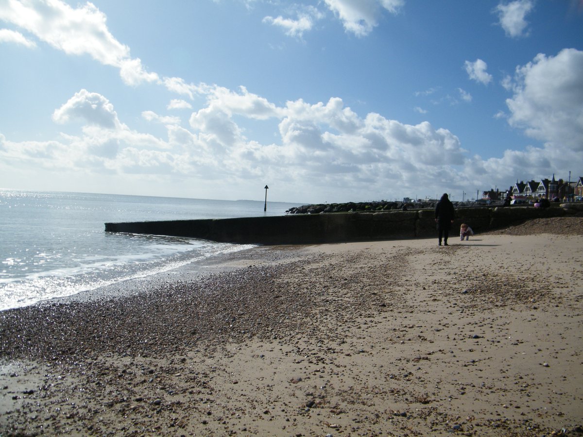 window cleaner and Artist tweet media