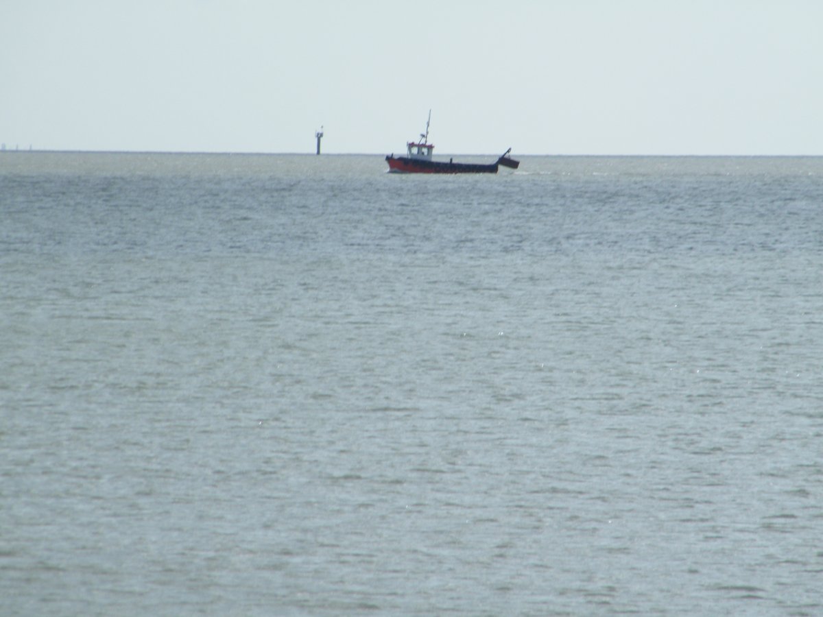 window cleaner and Artist tweet media