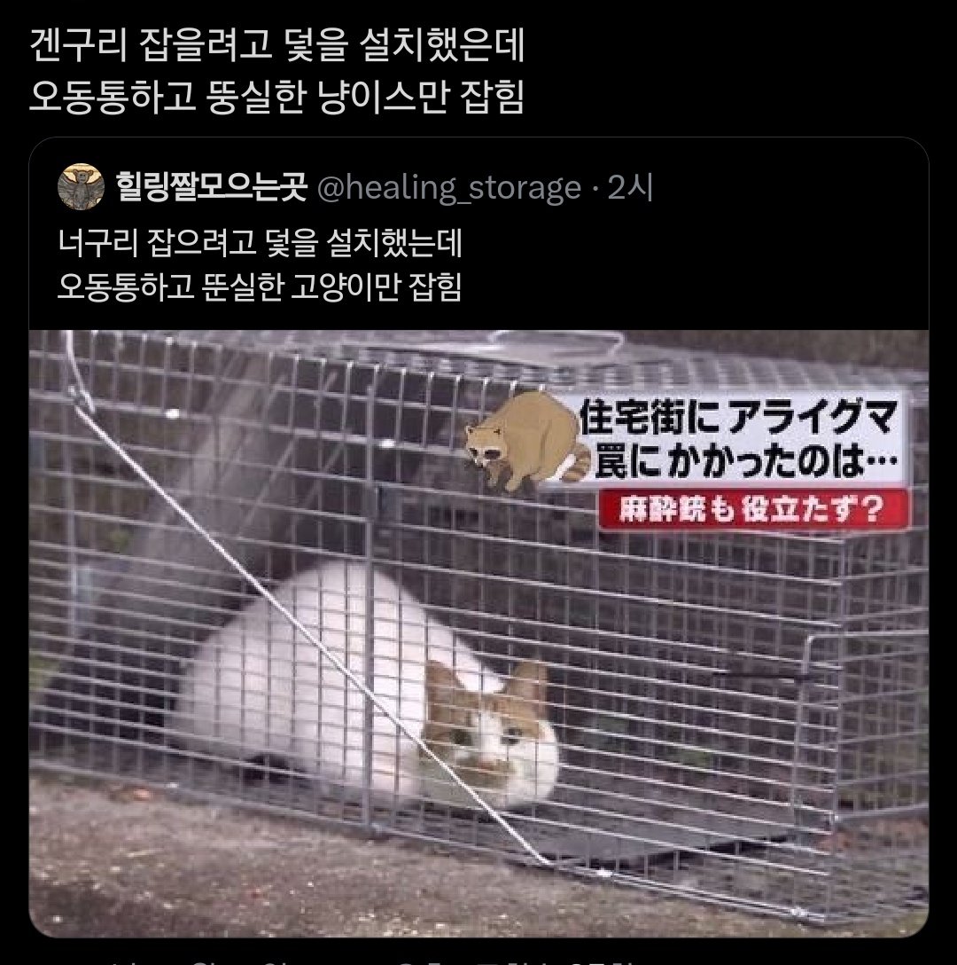 Young_Gun_95's tweet photo. https://t.co/NvcAxM3wVx