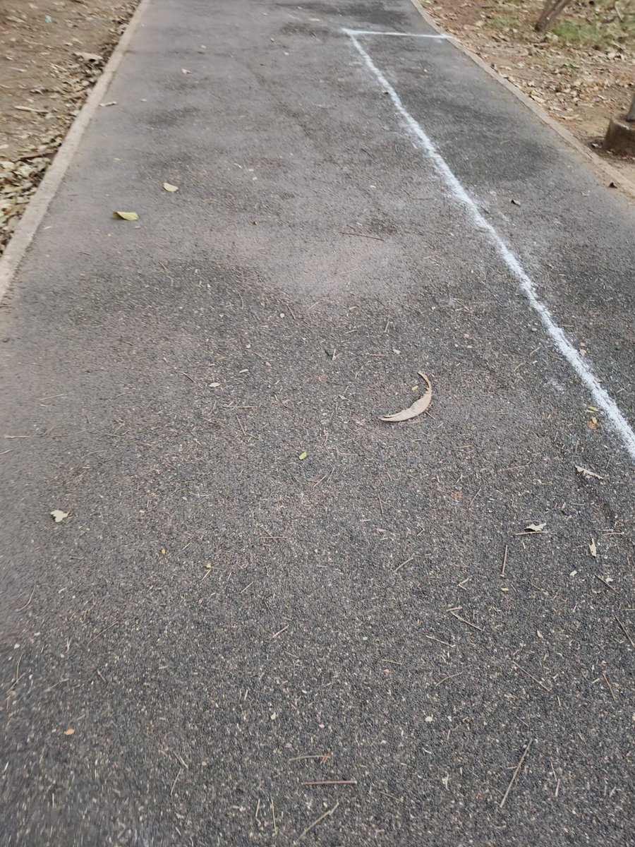 swiftblogs tweet media