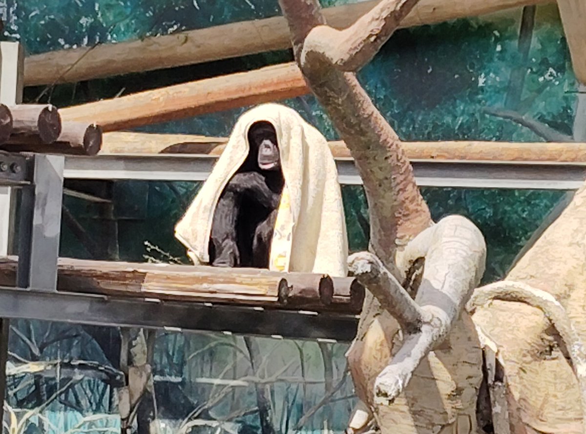 あ り い∅*ﾟ tweet media