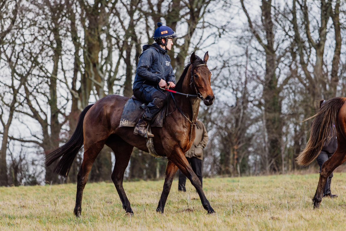 Christian Williams Racing tweet media