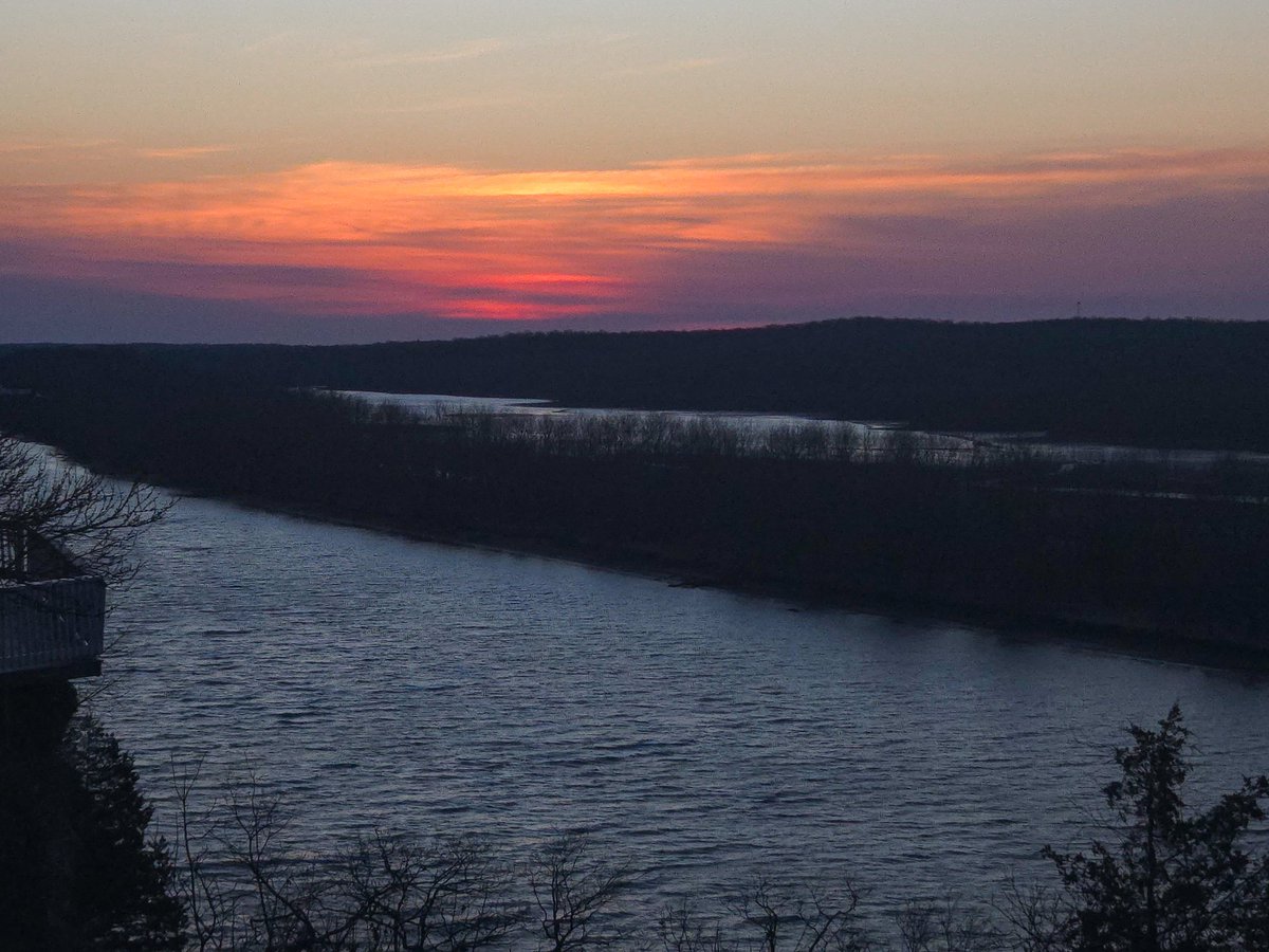 Sarah Everett tweet media