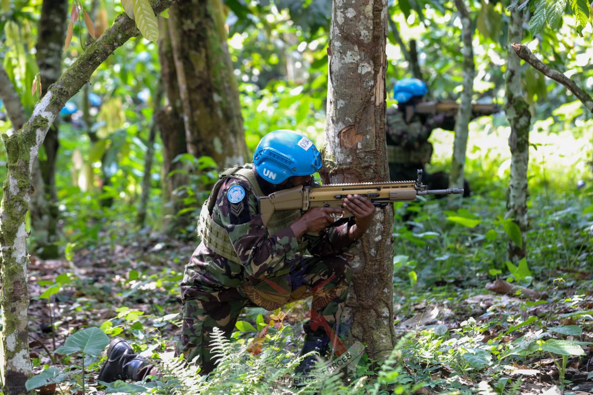 Kenya Defence Forces tweet media