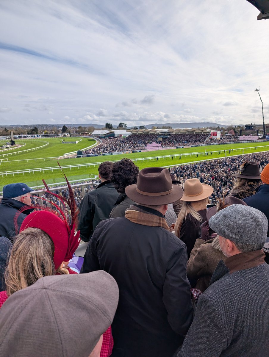 ErenSengul tweet media