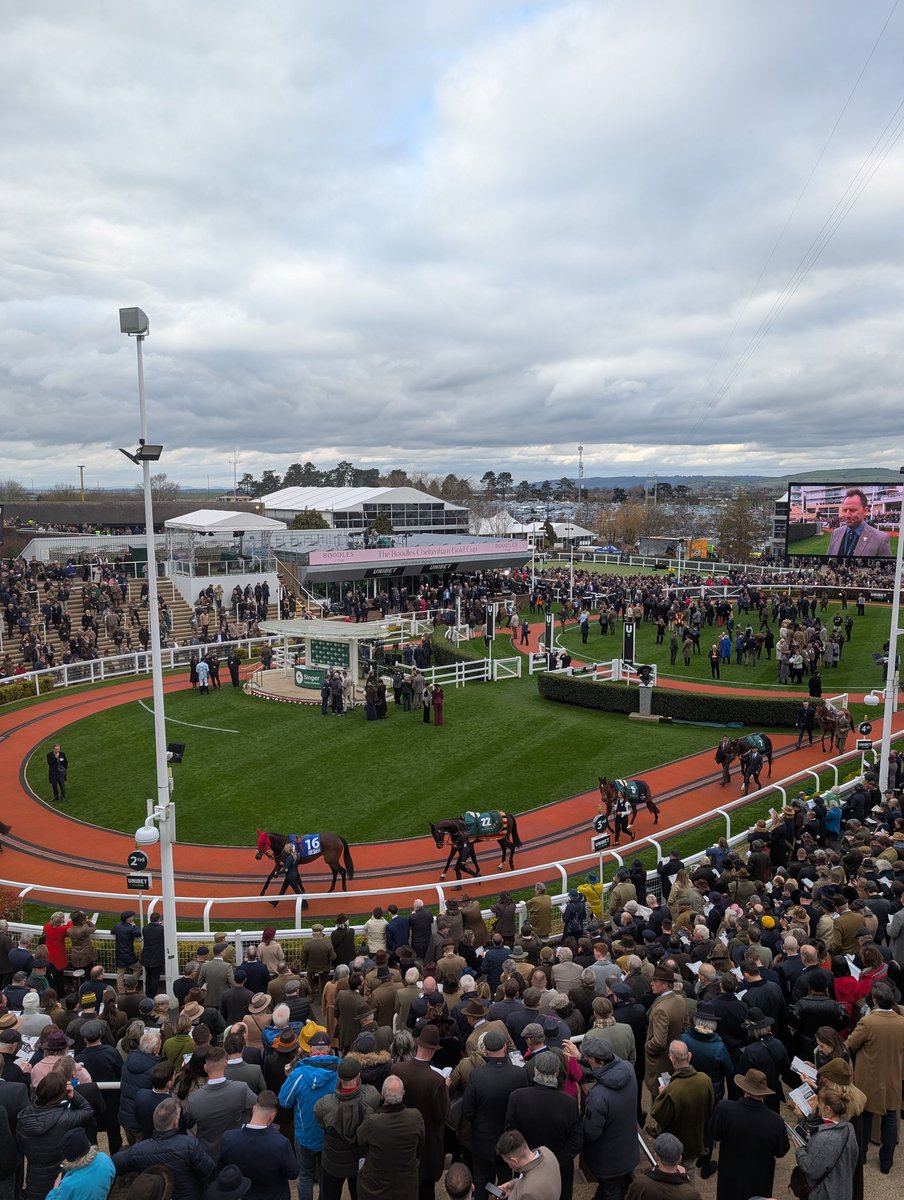 ErenSengul tweet media