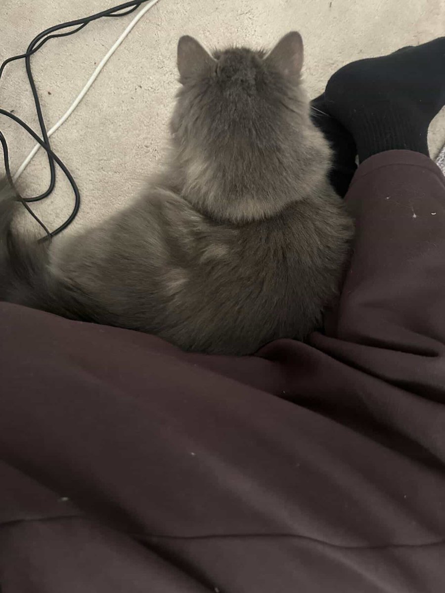 eaJ Corner TH tweet media