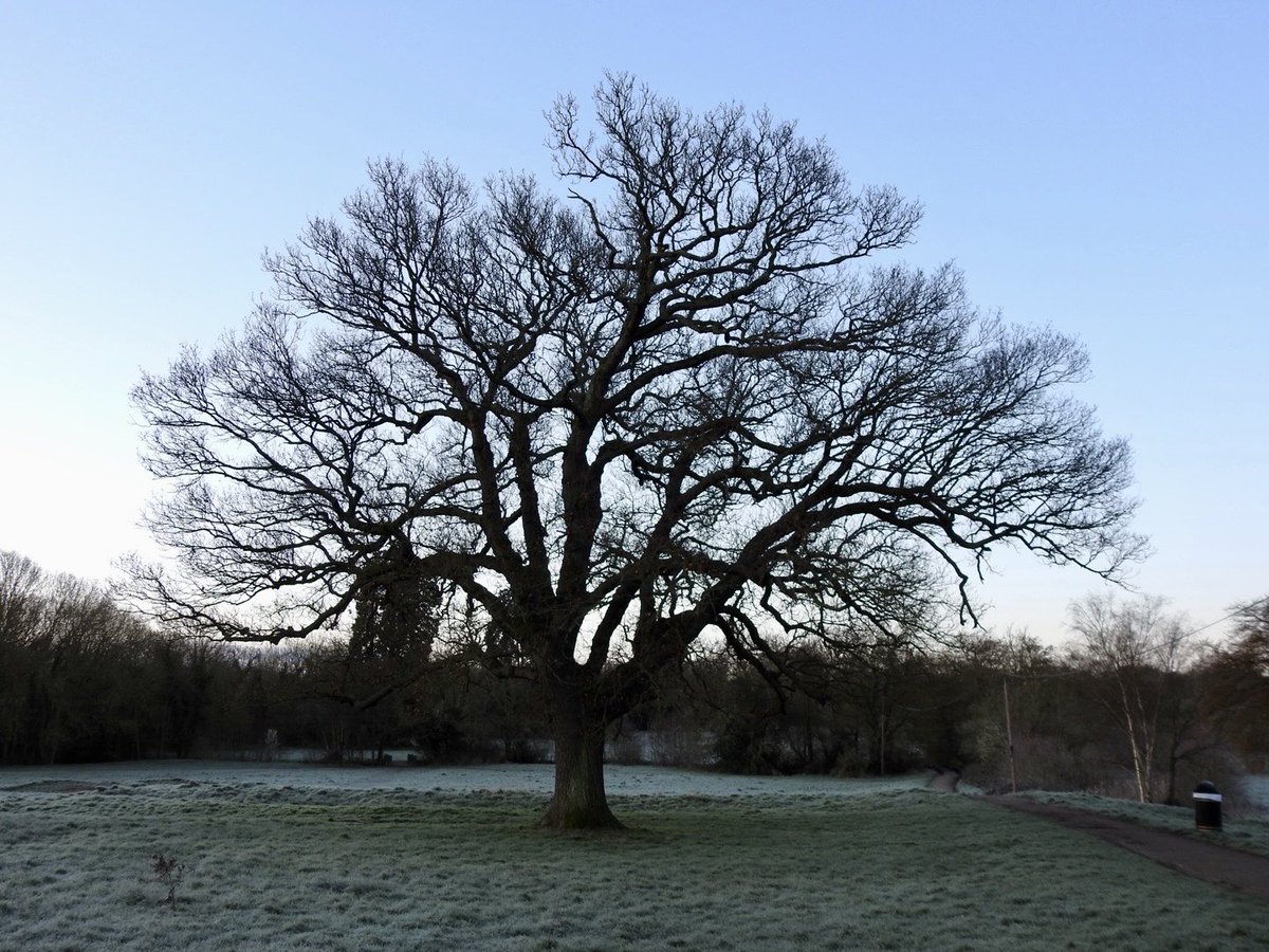 Steve Waldron tweet media